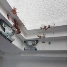 Reparaturen, Einstellarbeiten, Austausch Reparaturen, Einstellarbeiten, Austausch